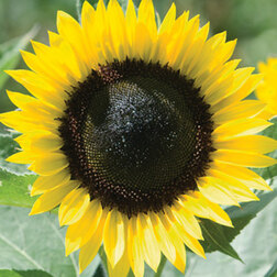 ������ ������ ������������ ������ ����� (1��-1000��)���������������� ������   ����