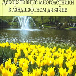 ������ ������ ������������ ������������ � ����������� �������   ����