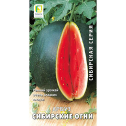 ������ ������ ����� ��������� ���� (��������� �����)   ����