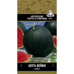 ������ ������ ����� ���� �����   ����