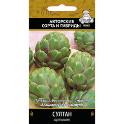 ������ ������ ������� ������   ����