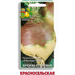 ������ ������ ������ �������������� (���� ������. �� ����� 2024 �)   ����