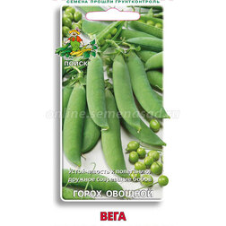 ������ ������ ����� ������� ����   ����