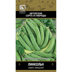 ������ ������ ����� ������� �������� (���� ������. �� ����� 2024 �)   ����