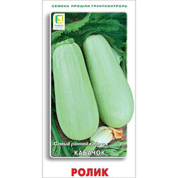 ������ ������ ������� �����   ����