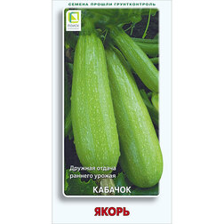 ������ ������ ������� �����   ����