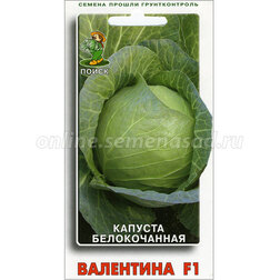 ������ ������ ������� ������������ ��������� F1   ����