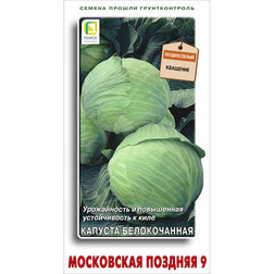 ������ ������ ������� ������������ ���������� ������� 9   ����