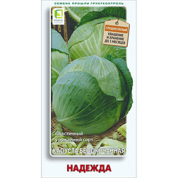 ������ ������ ������� ������������ �������   ����