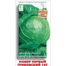 ������ ������ ������� ������������ ����� ������ ���������� 147   ����