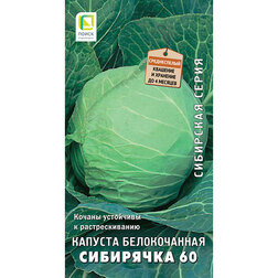 ������ ������ ������� ������������ ��������� 60 (��������� �����)   ����