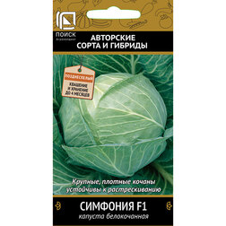 ������ ������ ������� ������������ �������� F1   ����