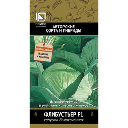 ������ ������ ������� ������������ ���������� F1   ����