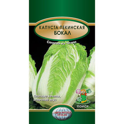 ������ ������ ������� ��������� �����   ����