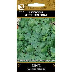 ������ ������ �������� ������� �����   ����