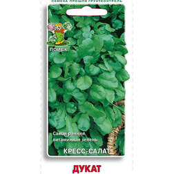 ������ ������ �����-����� �����   ����