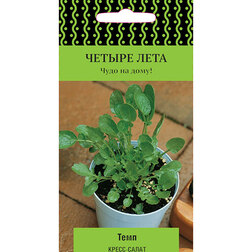 ������ ������ �����-����� ���� (������ ����)   ����