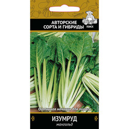 ������ ������ �������� �������   ����