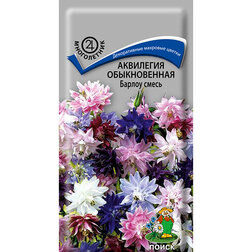 ������ ������ ��������� ������������ ������ �����   ����