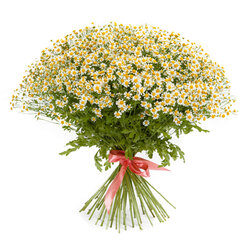 ������ ������ ������� ����� ����� (1��-1000��) ���������������� ������   ����