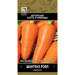 ������ ������ ������� ������� ����   ����