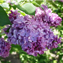 ������ ������ ������ ������������ ������   ����