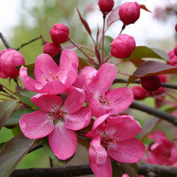 ������ ������ ������� ������ ������� (������������)   ����