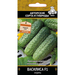 ������ ������ ������ �������� F1   ����