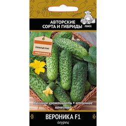 ������ ������ ������ �������� F1   ����