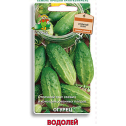 ������ ������ ������ �������   ����