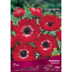 ������ ������ ������� �������� ��� (10 ��.)   ����