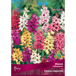 ������ ������ ����� ��������� ����� ������� (10 ��.)   ����