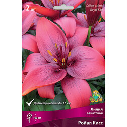 ������ ������ ����� ��������� ����� ���� (2 ��.)   ����