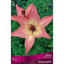 ������ ������ ����� ��������� ����� ������ (2 ��.)   ����