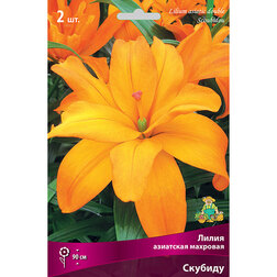 ������ ������ ����� ��������� �������� ������� (2 ��.)   ����