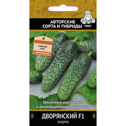 ������ ������ ������ ���������� F1   ����