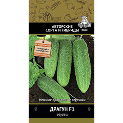 ������ ������ ������ ������ F1   ����