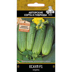 ������ ������ ������ ����� F1   ����