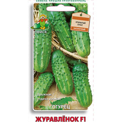 ������ ������ ������ ������ ���������� F1   ����