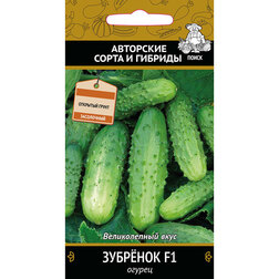 ������ ������ ������ �������� F1   ����