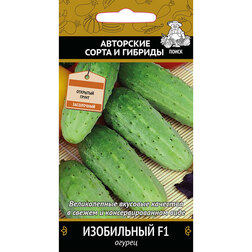 ������ ������ ������ ���������� F1   ����