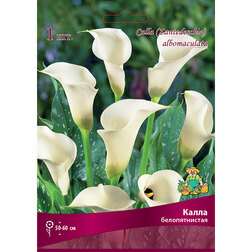 ������ ������ ����� �������������   ����