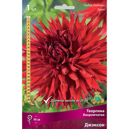 ������ ������ �������� ����������� ������� (1 ��.)   ����