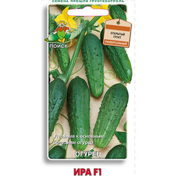 ������ ������ ������ ��� F1   ����