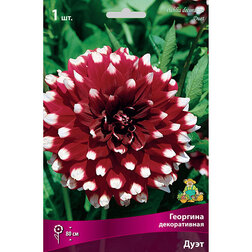 ������ ������ �������� ������������ ����   ����