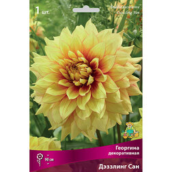 ������ ������ �������� ������������ �������� ���   ����