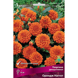 ������ ������ �������� ������������ ������ ������ (1 ��.)   ����