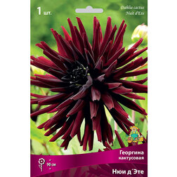 ������ ������ �������� ���������� ��� �'���   ����