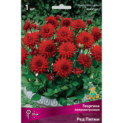 ������ ������ �������� �������������� ��� �����   ����