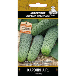 ������ ������ ������ �������� F1   ����